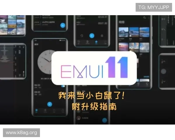 k8旗舰厅登录入口官方最新版本下载及更新指南详解