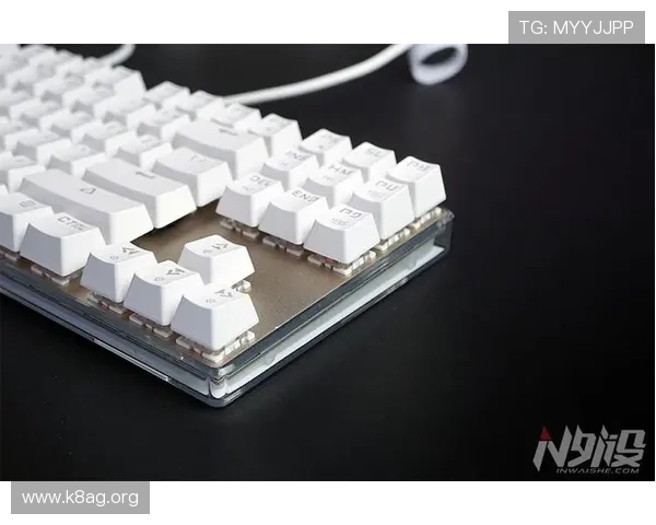 k8浏览器官方下载最新版,优化性能提升浏览速度的最佳选择